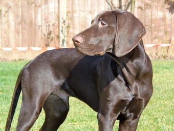 Mo at 20 weeks